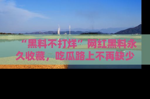 “黑料不打烊”网红黑料永久收藏，吃瓜路上不再缺少惊喜与乐趣