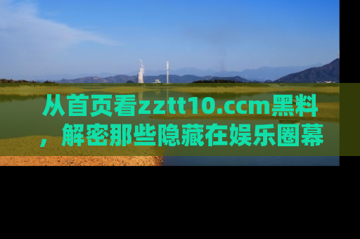 从首页看zztt10.ccm黑料，解密那些隐藏在娱乐圈幕后的丑闻故事！
