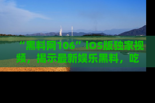 “黑料网106”iOS版独家视频，揭示最新娱乐黑料，吃瓜不停！