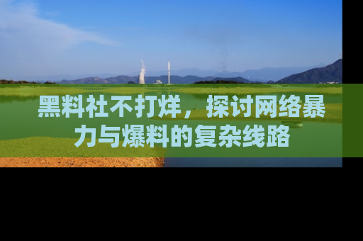 黑料社不打烊，探讨网络暴力与爆料的复杂线路