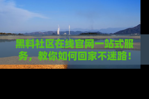 黑料社区在线官网一站式服务，教你如何回家不迷路！