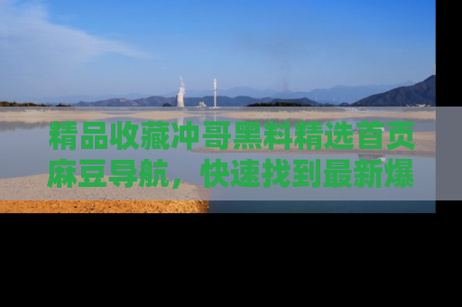 精品收藏冲哥黑料精选首页麻豆导航，快速找到最新爆料