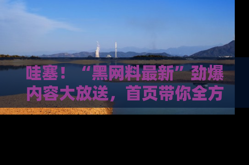 哇塞！“黑网料最新”劲爆内容大放送，首页带你全方位了解哦，小可爱们