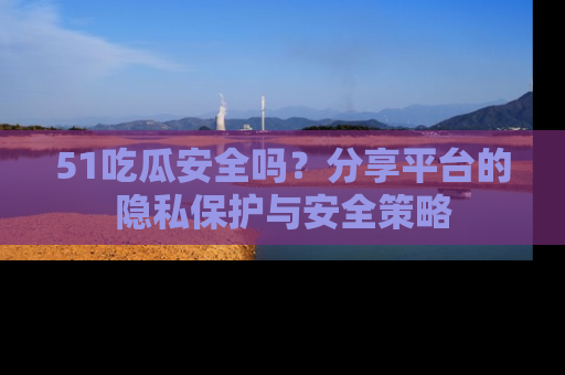 51吃瓜安全吗？分享平台的隐私保护与安全策略