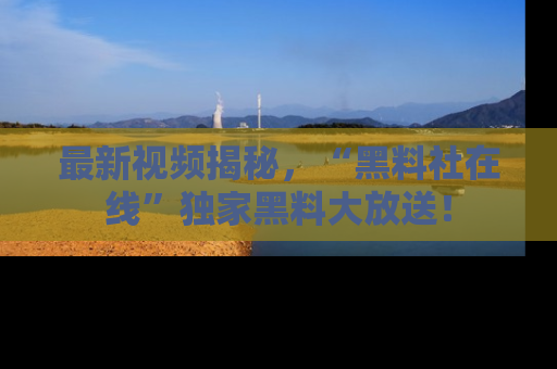 最新视频揭秘,“黑料社在线”独家黑料大放送!